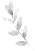 Untitled%20design%20(1)_edited.png
