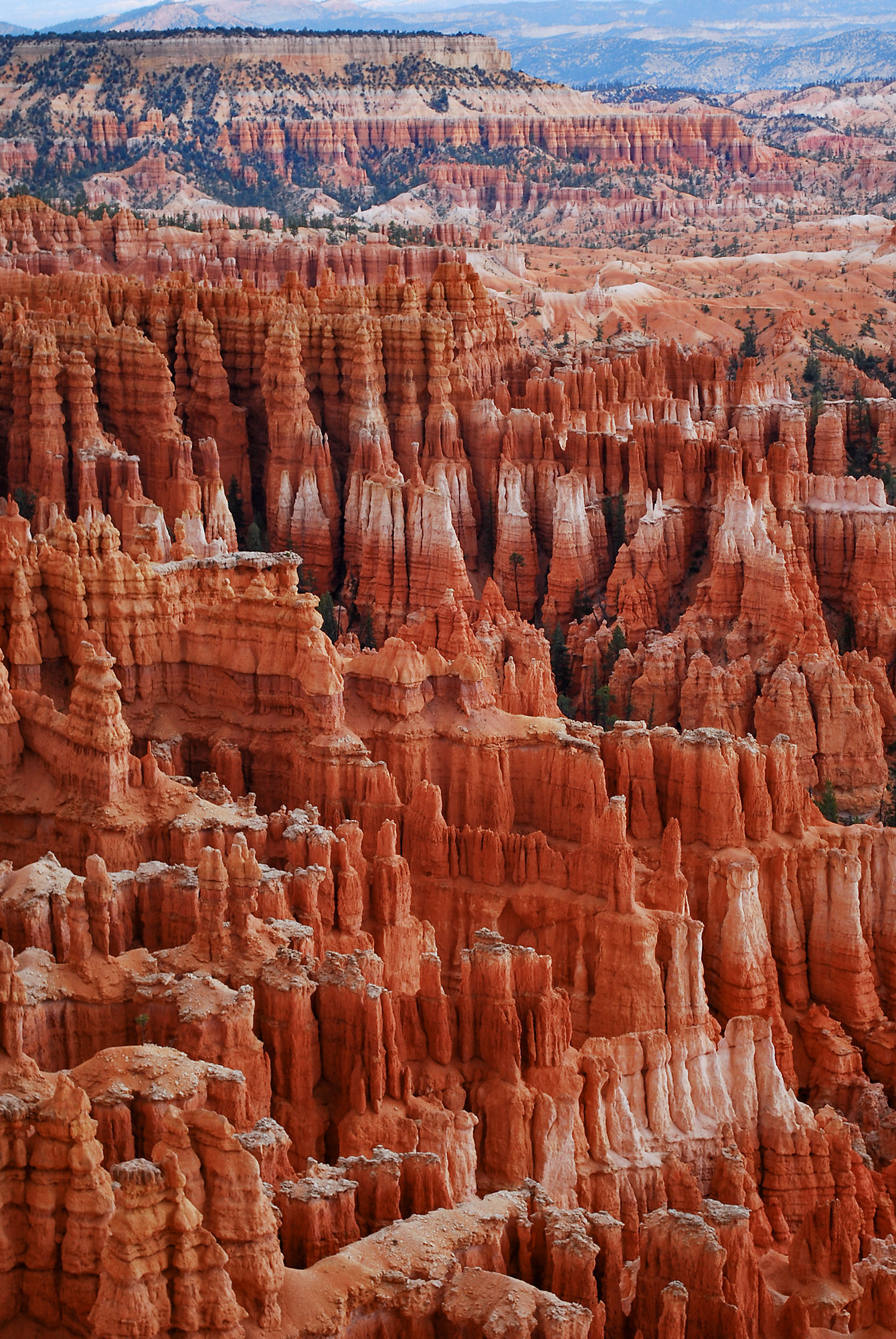 House of Hoodoos