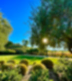 Napa Dream Tours Private Wine Tours & Luxury Transportation