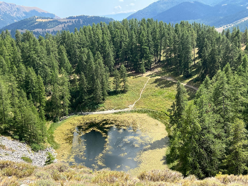 parcours de randonnée autour de Cagnes sur mer et antibes, lac et foret pour se détendre au calme