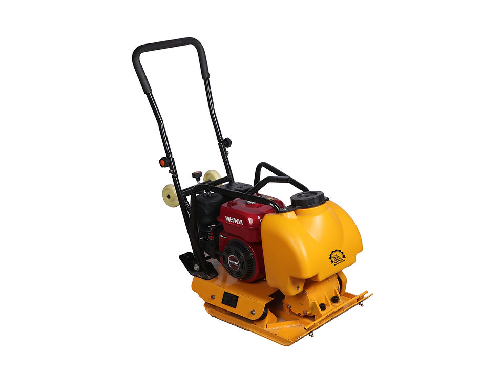 Thumbnail: plate compactor from fastech machinery