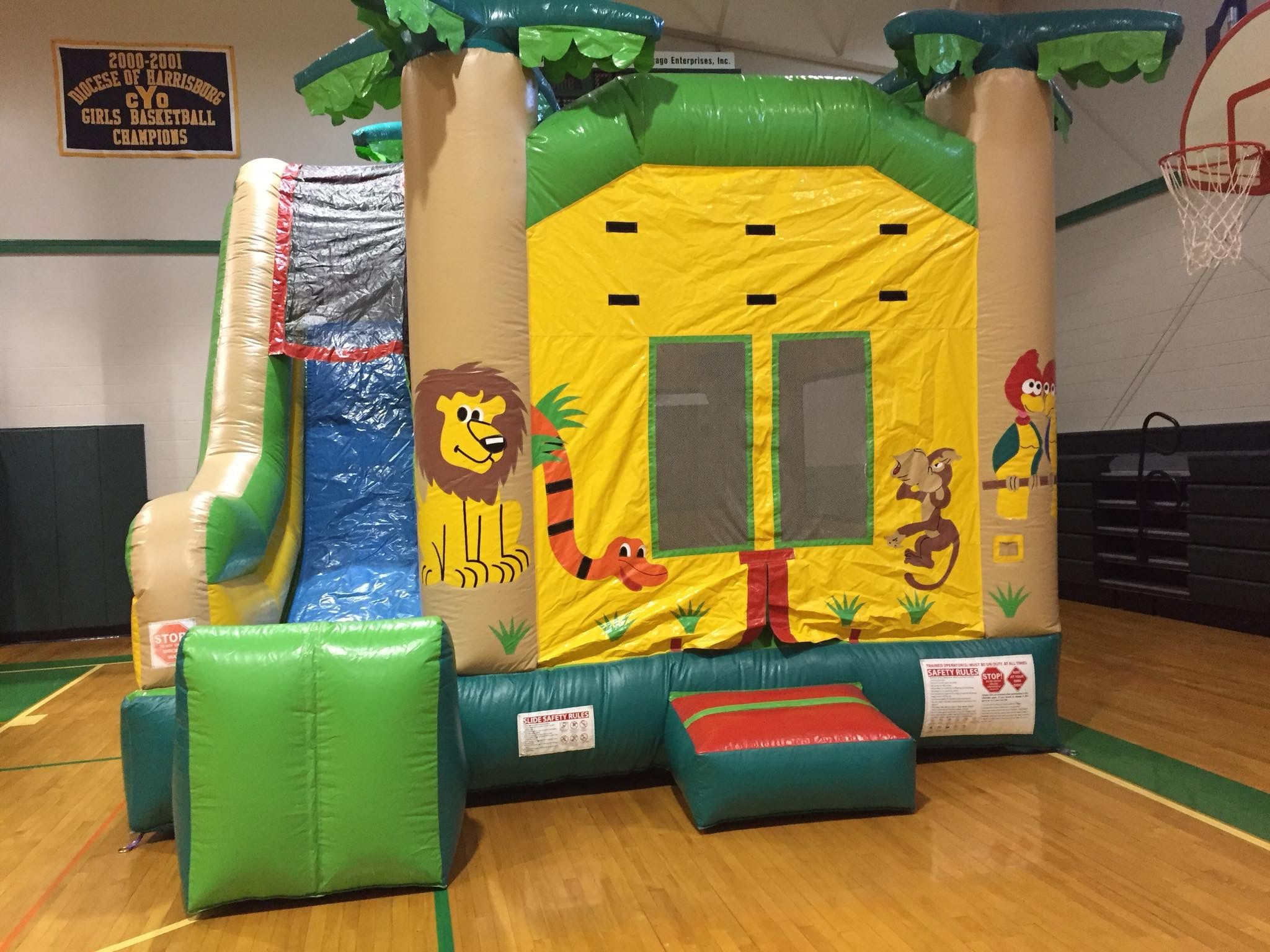 Jungle Jump & Slide RF-2