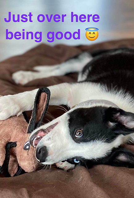 being-good2.png