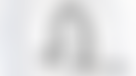 Dr. Elaine Halley, P-I Brånemark Award for Lifetime Achievement Recipient