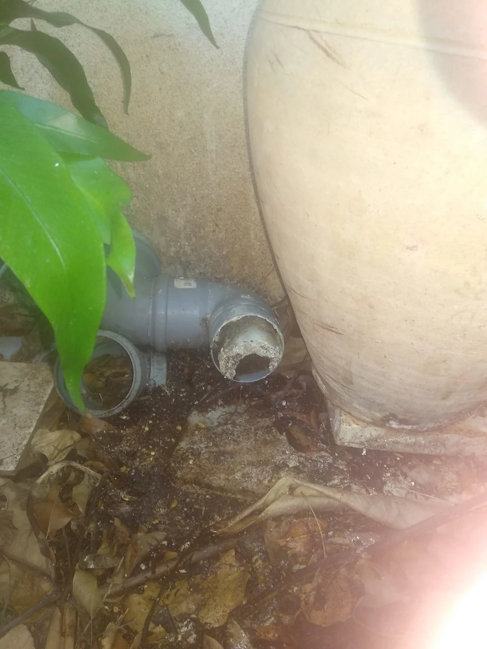 סתימה בכיור מטבח שצריך לשחרר באמצעות המוצרים האורגניים של אקטיזיים