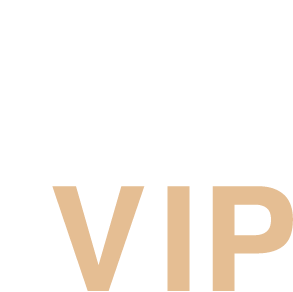 Travel VIP