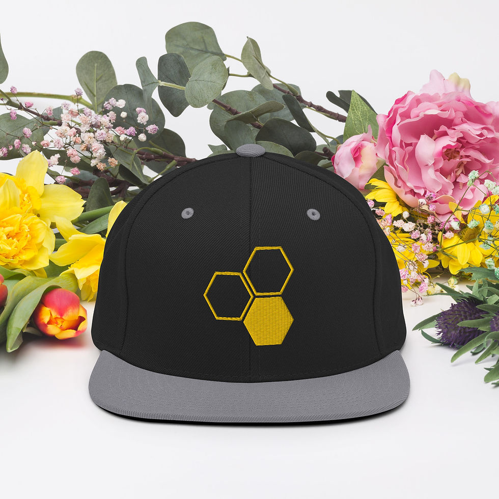 Thumbnail: Honeycomb Snapback Hat