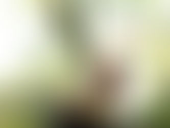 Practicing yoga in a park, embracing nature and inner strength.