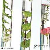 Epionce skincare awards