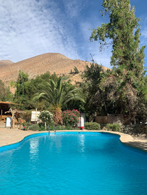 Hotel El Tesoro de Elqui - Pisco Elqui