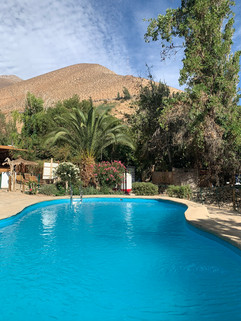 Hotel El Tesoro de Elqui - Pisco Elqui