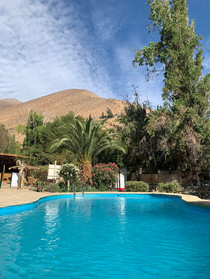 Hotel El Tesoro de Elqui - Pisco Elqui