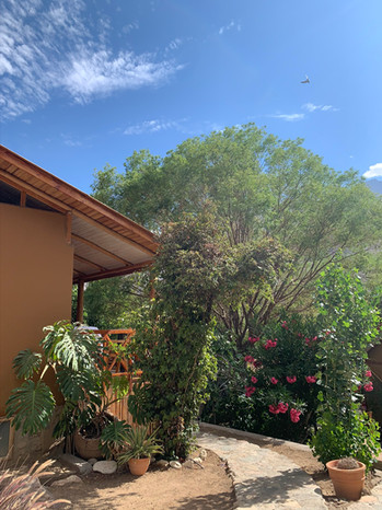 Hotel El Tesoro de Elqui - Pisco Elqui