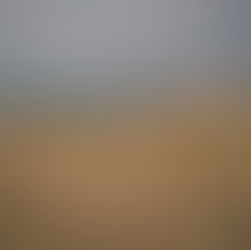 Volunteering on a farm