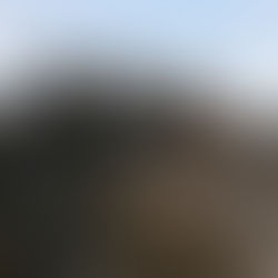 El Hierro and the feeling of separation from my twin