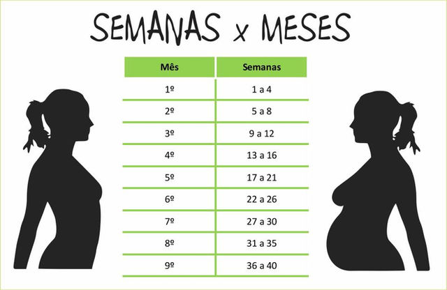Tabela de equivalência: semanas e meses