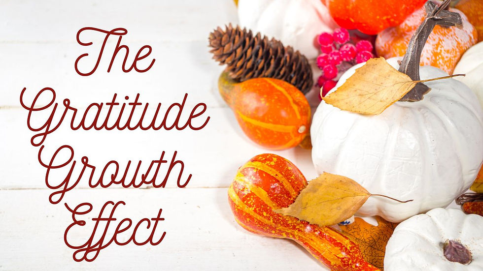 The Gratitude Growth Effect with pumpkins and squash on a table