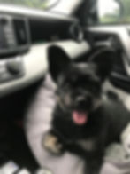 Lucy's ready to move in!