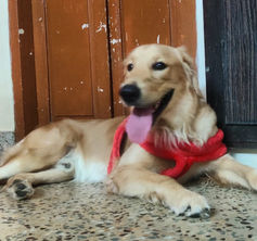 Milo