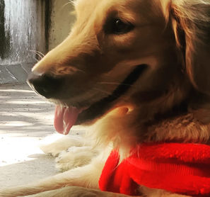 Milo