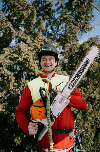 Baumcaspar, Baumpflege, Altrip, Baumschnitt, Seilklettern