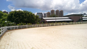 沙田馬埸 (6).jpg