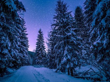New Pathways & Shining Stars