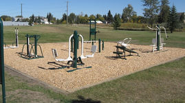 Outdoor fitness Reatek playground
