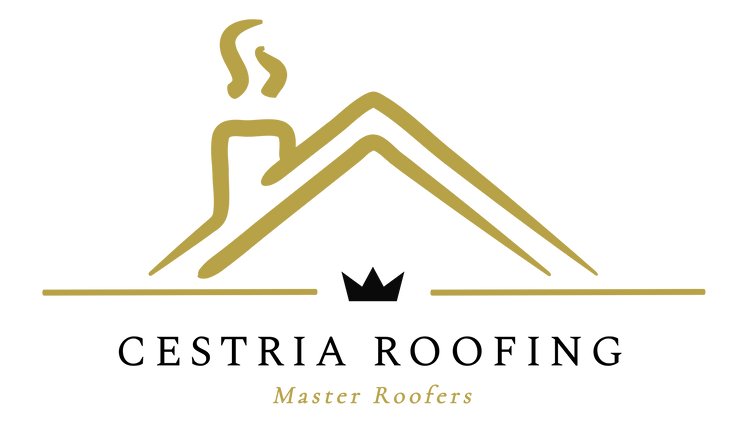 LogoMakr-2gzKwc-300dpi (1).png