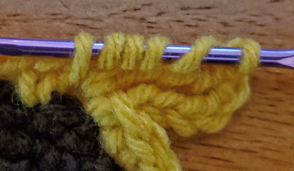 Insert hook and yarn over. Pull loop through.