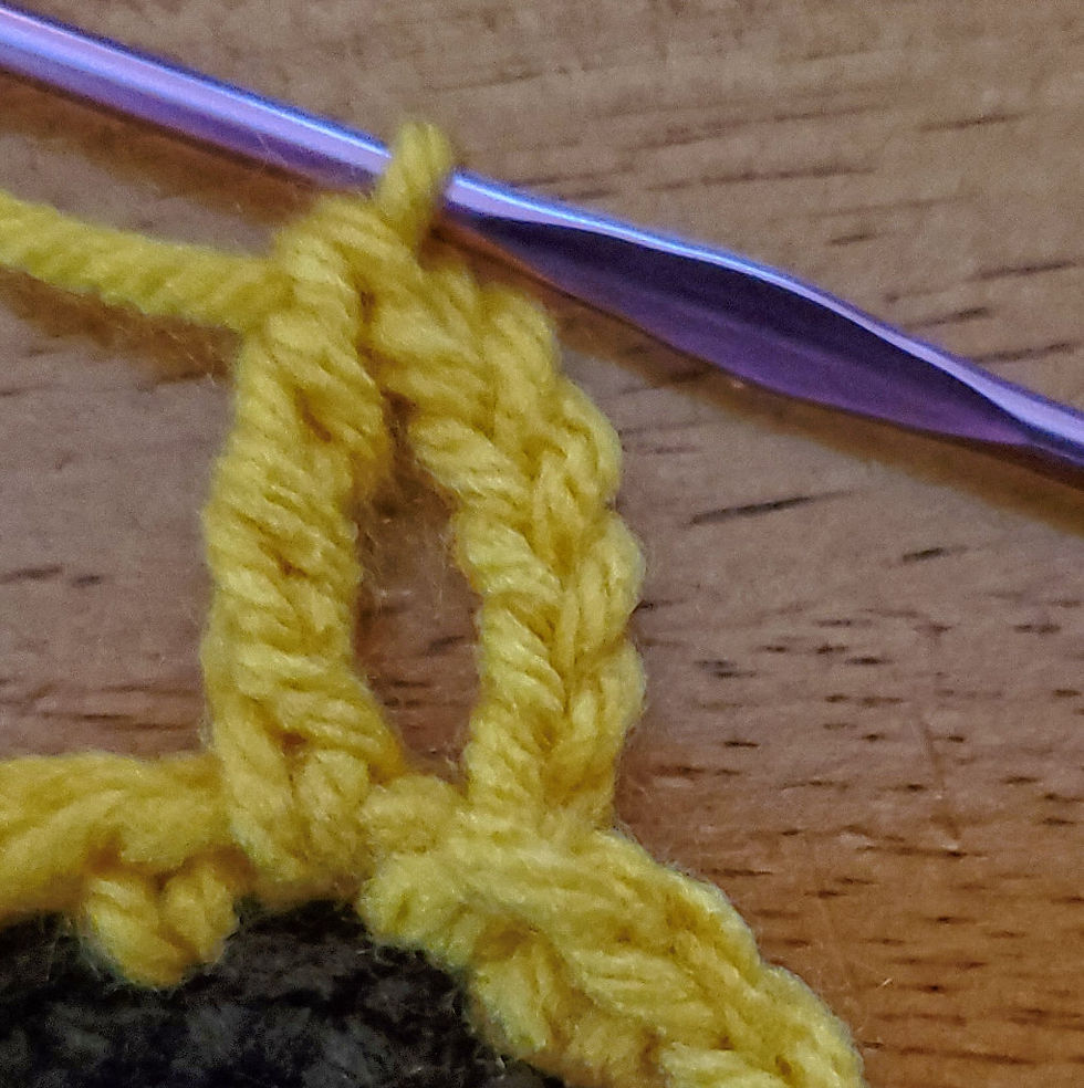 Yarn over and pull through last 2 loops