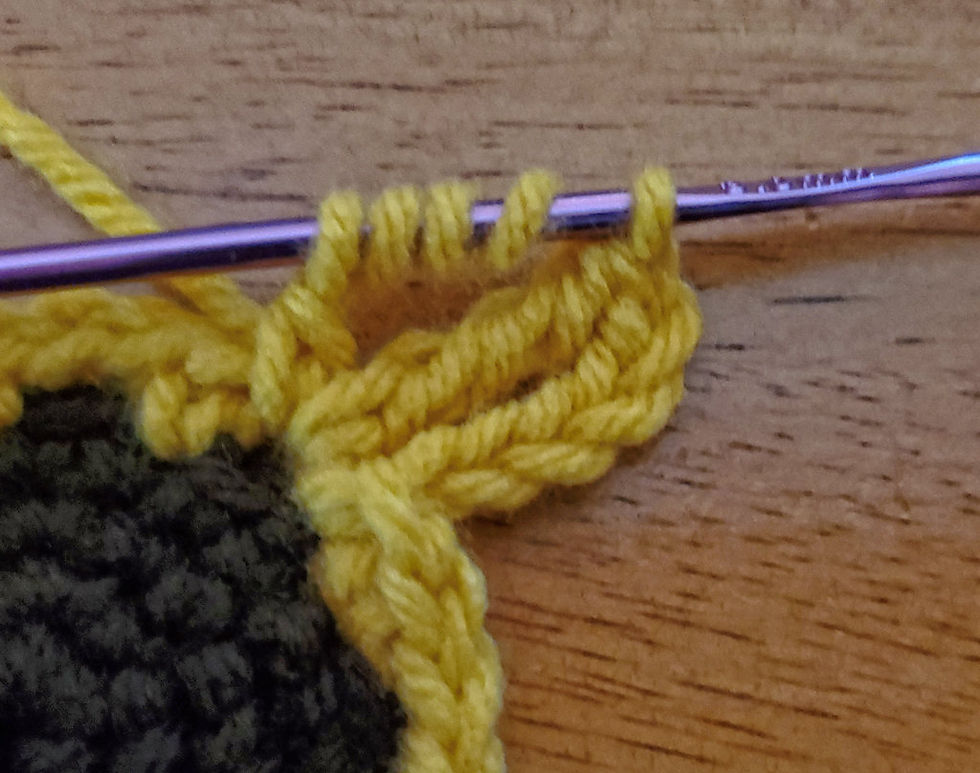 Yarn over and pull through first 2 loops.