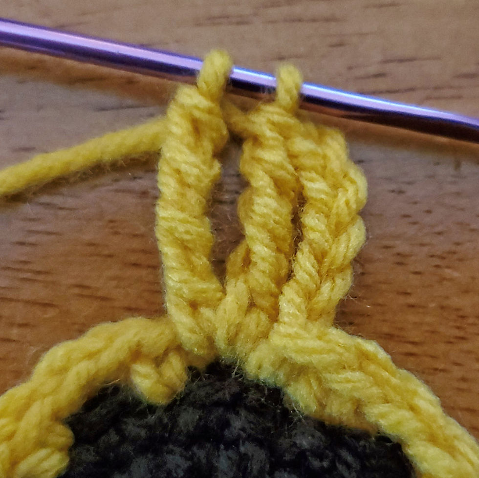 Yarn over and pull through 2 loops.