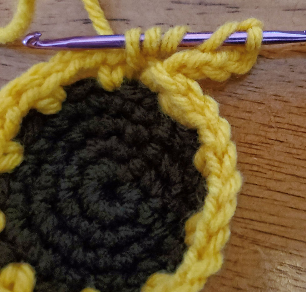 Insert Hook and Yarn over. Pull loop through.