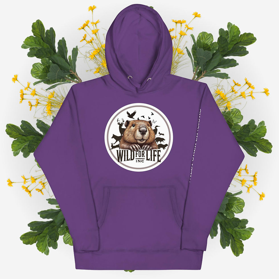 Thumbnail: Unisex Color Hoodie
