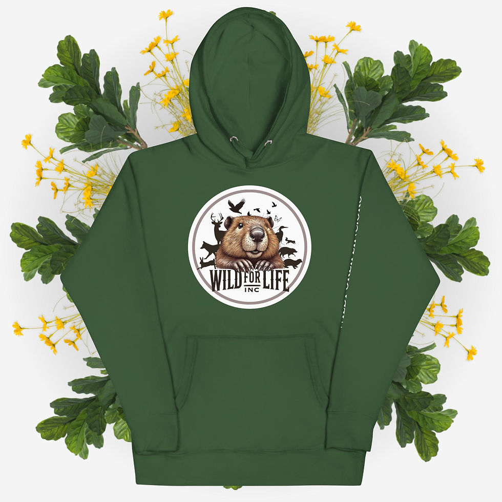 Thumbnail: Unisex Color Hoodie