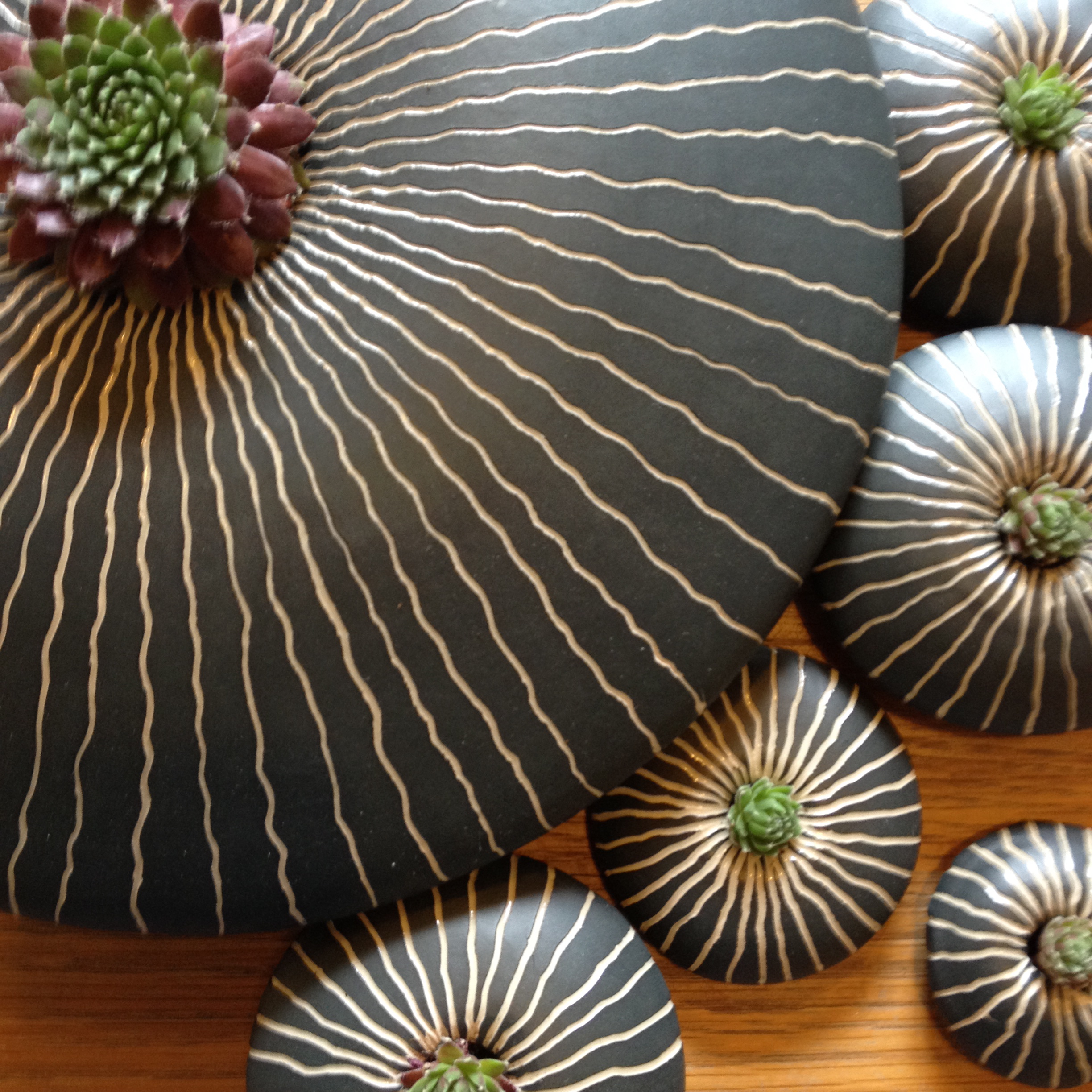 Succulent Oblate Spheroids