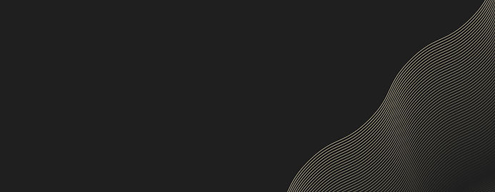 Vector Smart Object (2).jpg