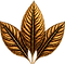 icon.png
