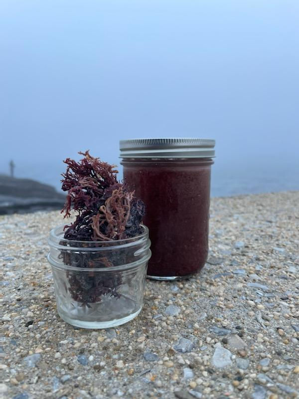 Thumbnail: Elderberry Sea Moss Gel