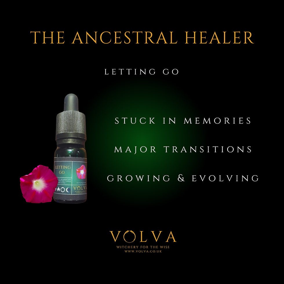 Thumbnail: The Ancestral Healer Flower Aid Kit