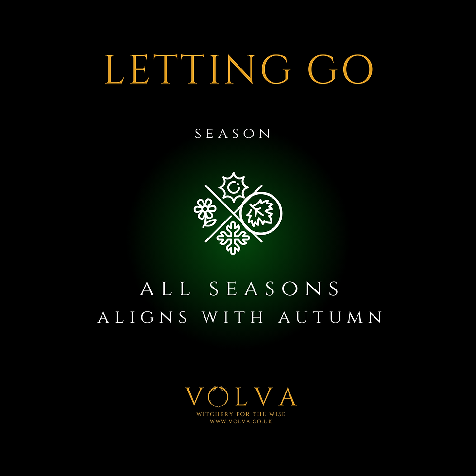Thumbnail: Letting Go Flower Essence