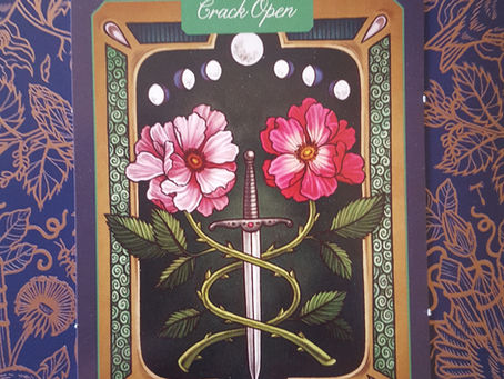 Plant Wisdom: Rose