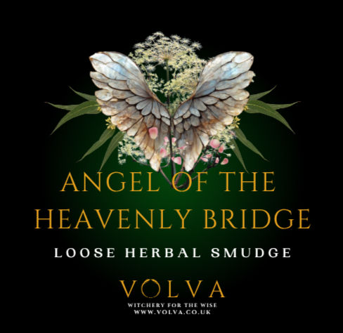 Angel wings with medicinal herbs flowing from sides on a black background