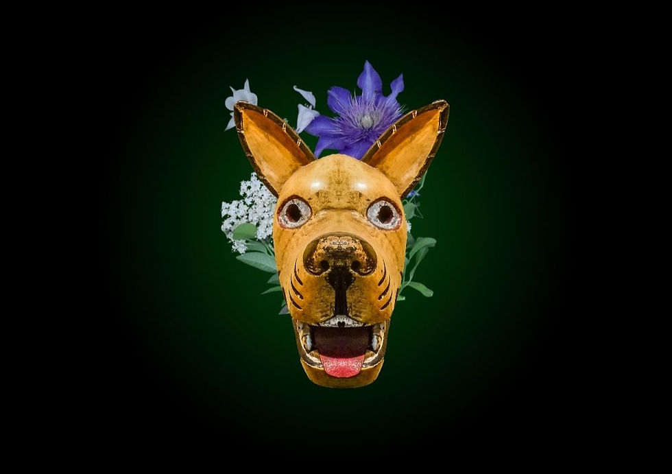 Blessings For The Animal Kin