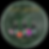 Three small green dropper bottles with flowers next to them sitting in front of a green hued Full Moon