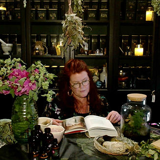 Book in the apothecary.jpg