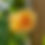 Thumbnail: Medicine Bag | Loose Smudge and Saining Herbs