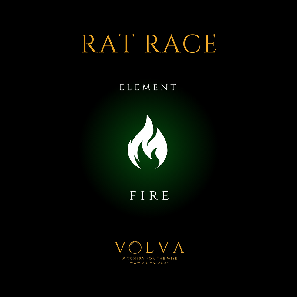 Thumbnail: Rat Race Flower Essence