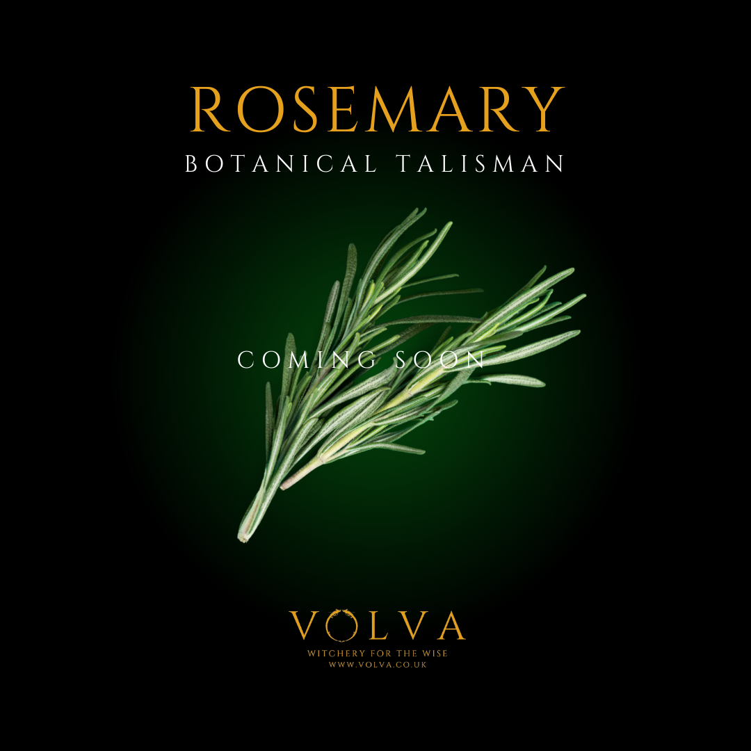 Rosemary Talisman